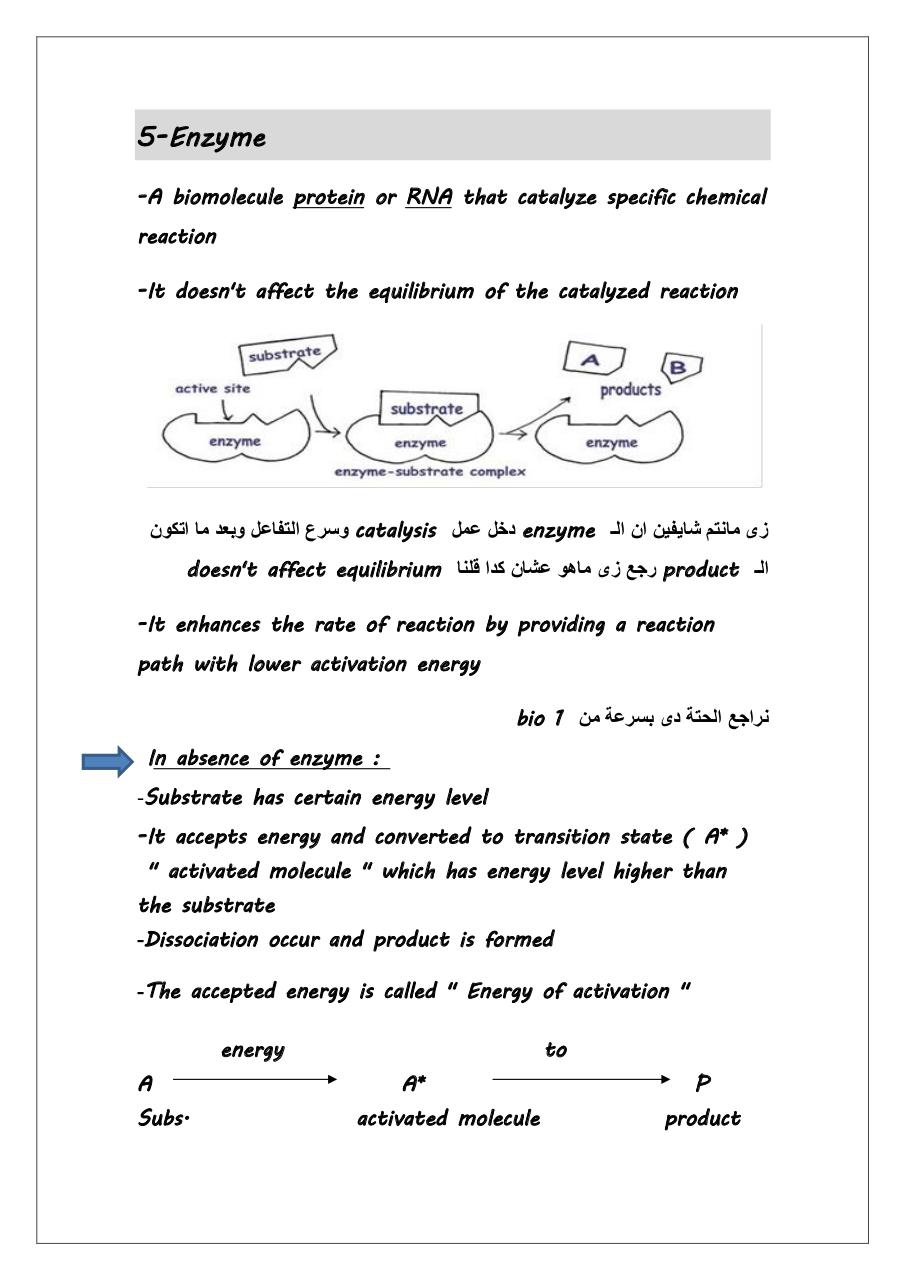 Bio 2.pdf - page 3/14