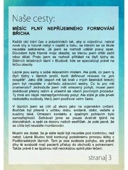 Page 4, xyrt
