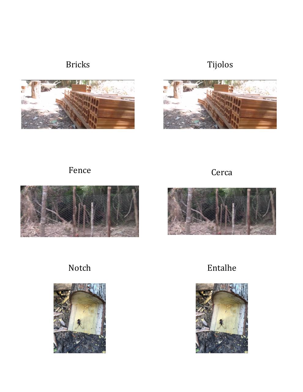 visual dictionary- chicken coop - 6-25- suze.pdf - page 3/6