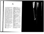 Page 4, dictionar rusroman
