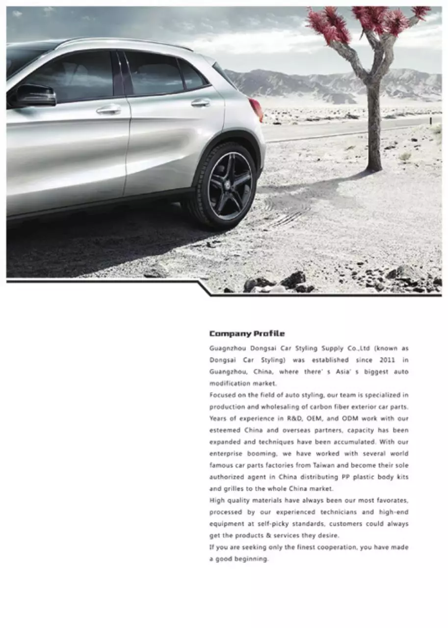 Page 2 of 106, Catalog Dongsai Car Styling