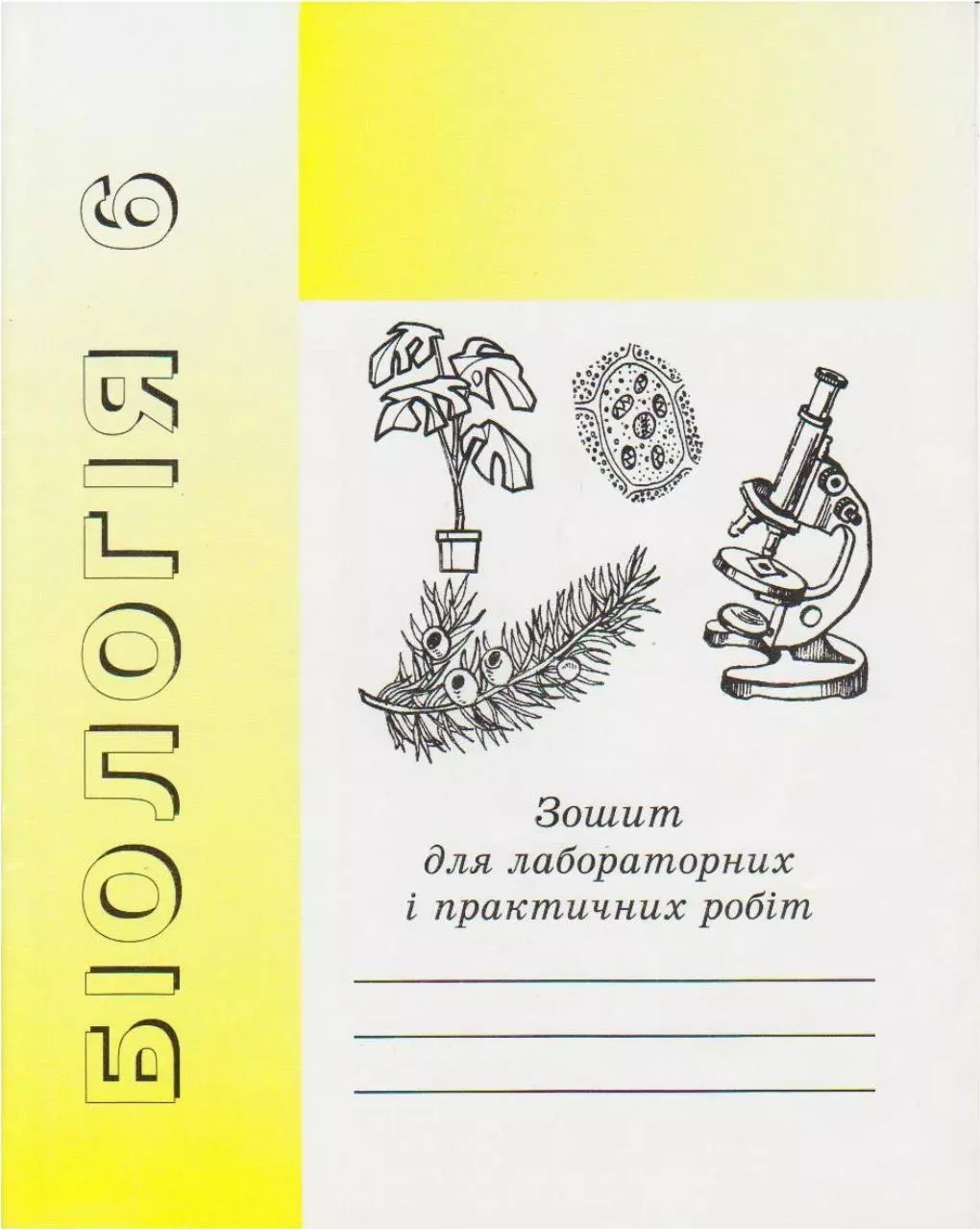 Page 1 of 45, lab works