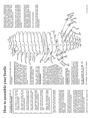 Page 2, Beetle pack