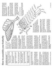 Page 2, Butterfly pack