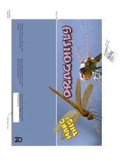 Page 3, Dragonfly pack