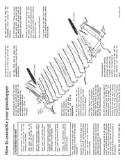 Page 2, Grasshopper pack