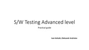 Page 1, SRK MSL SW Testing Advanced practical guide IK 201611