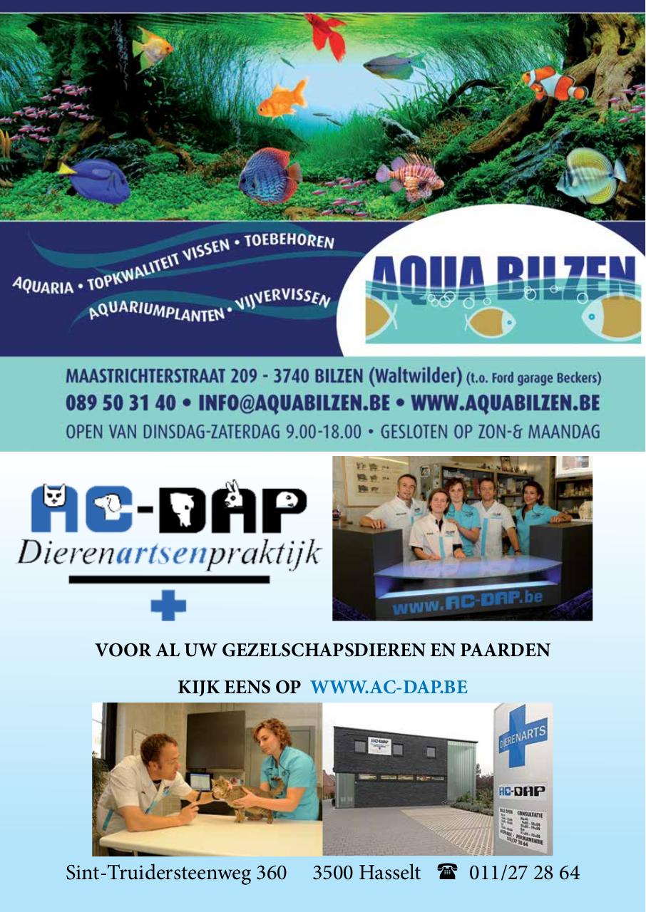 Aqua Limburg 2016-06.pdf - page 2/26