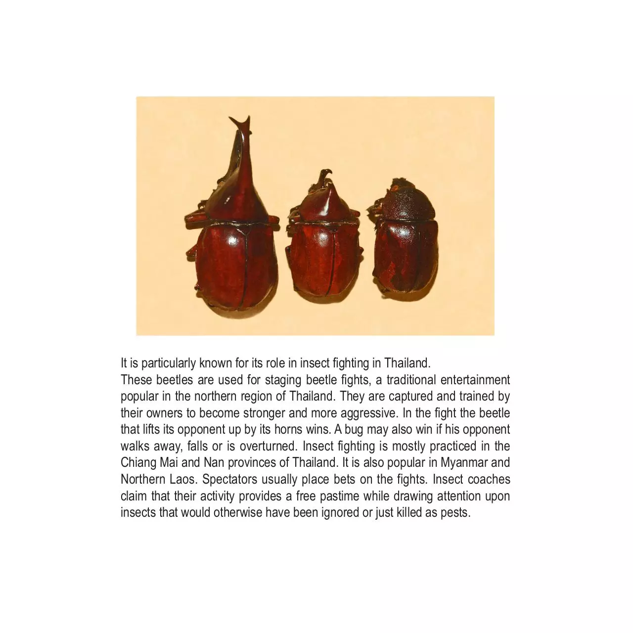 Document preview - GRAFICA studente di YANG LAN E3.pdf - Page 1/1