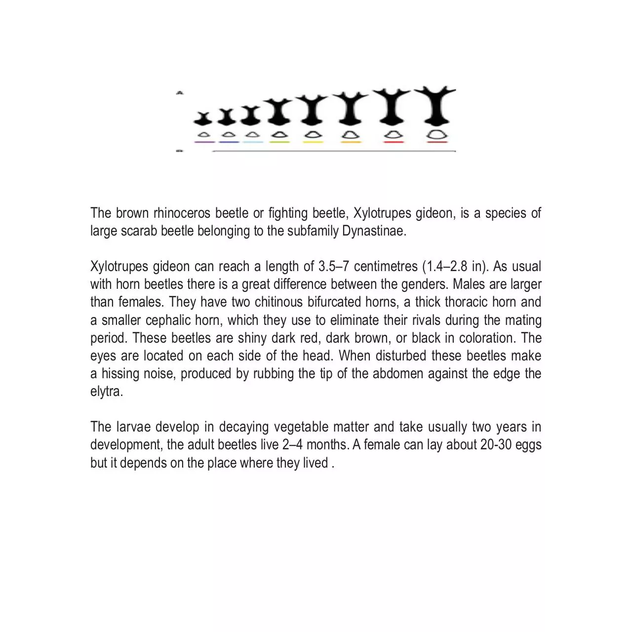 Document preview - GRAFICA studente di YANGLAN E2.pdf - Page 1/1