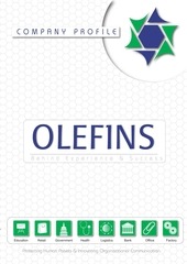 Page 1, Company Profile
