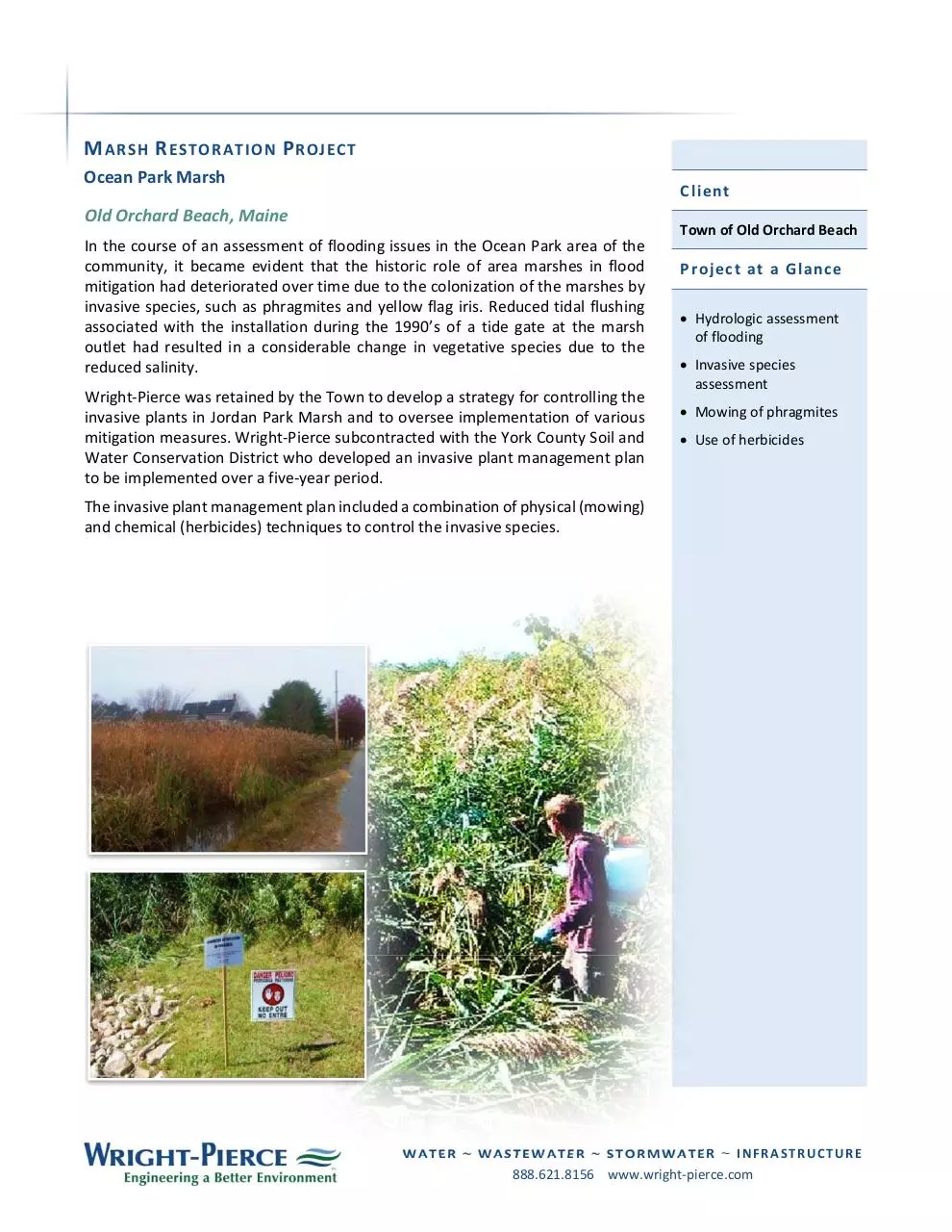 Page 3 of 4, World Wetlands Day