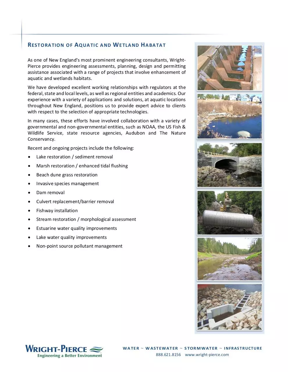 Page 4 of 4, World Wetlands Day