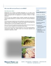 Page 2, World Wetlands Day