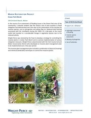 Page 3, World Wetlands Day