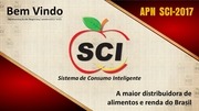 Page 1, SCI APN 2017