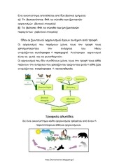 Page 3, Οικοσύστημα2