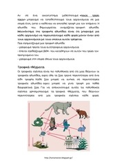Page 4, Οικοσύστημα2