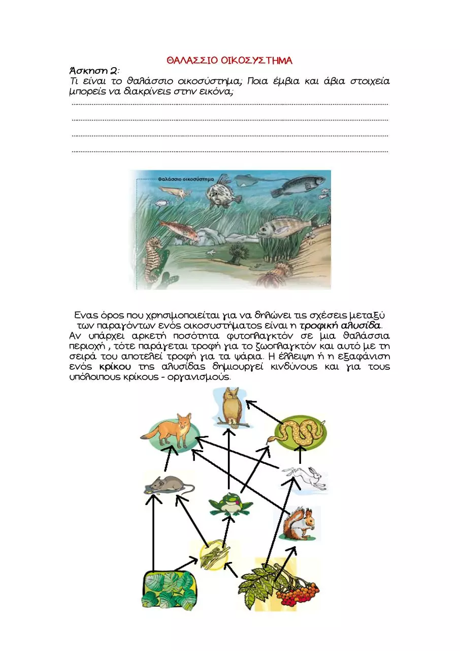 Page 4 of 4, ΟΙΚΟΣΥΣΤΗΜΑΤΑ