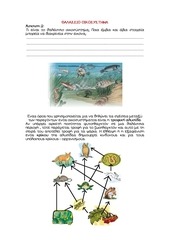 Page 4, ΟΙΚΟΣΥΣΤΗΜΑΤΑ