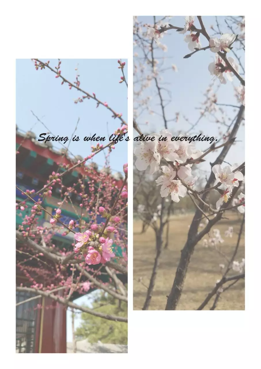 Page 2 of 5, Lan Yang — BN tgs