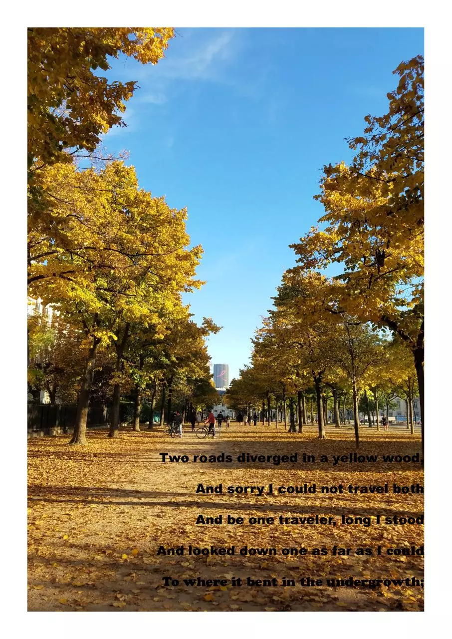 Page 4 of 5, Lan Yang — BN tgs