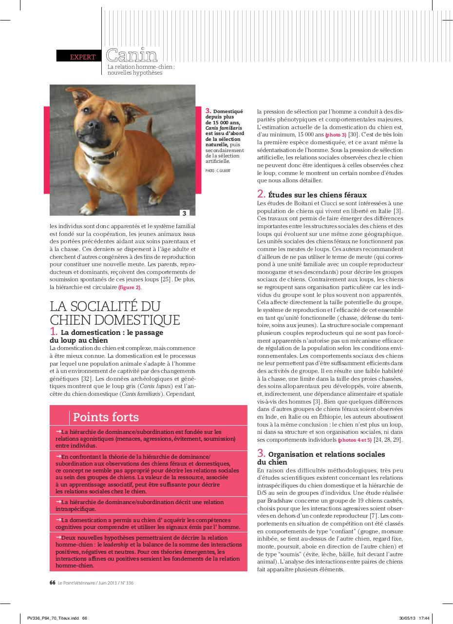 PV Relation homme chien nouvelles hypotheÌ€ses.pdf - page 4/8