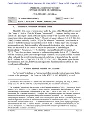 Page 5, Grant of MSJ in Dizon v. Asiana Airlines, Inc