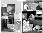 Page 4, seacat2
