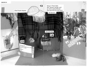 Page 5, seacat2