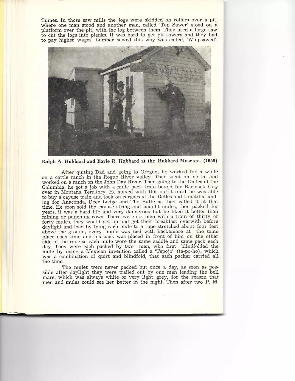Page 4 of 11, Section 2