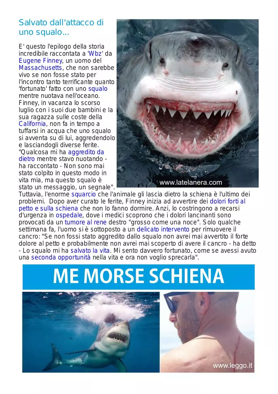 Page 1 of 4, Simone Marchese EGE BN