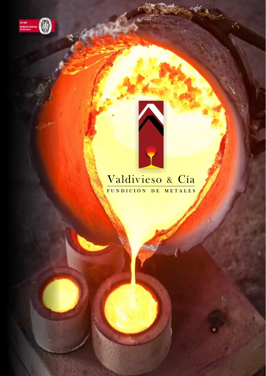 Page 1 of 8, Dossier Institucional Valdivieso 2015