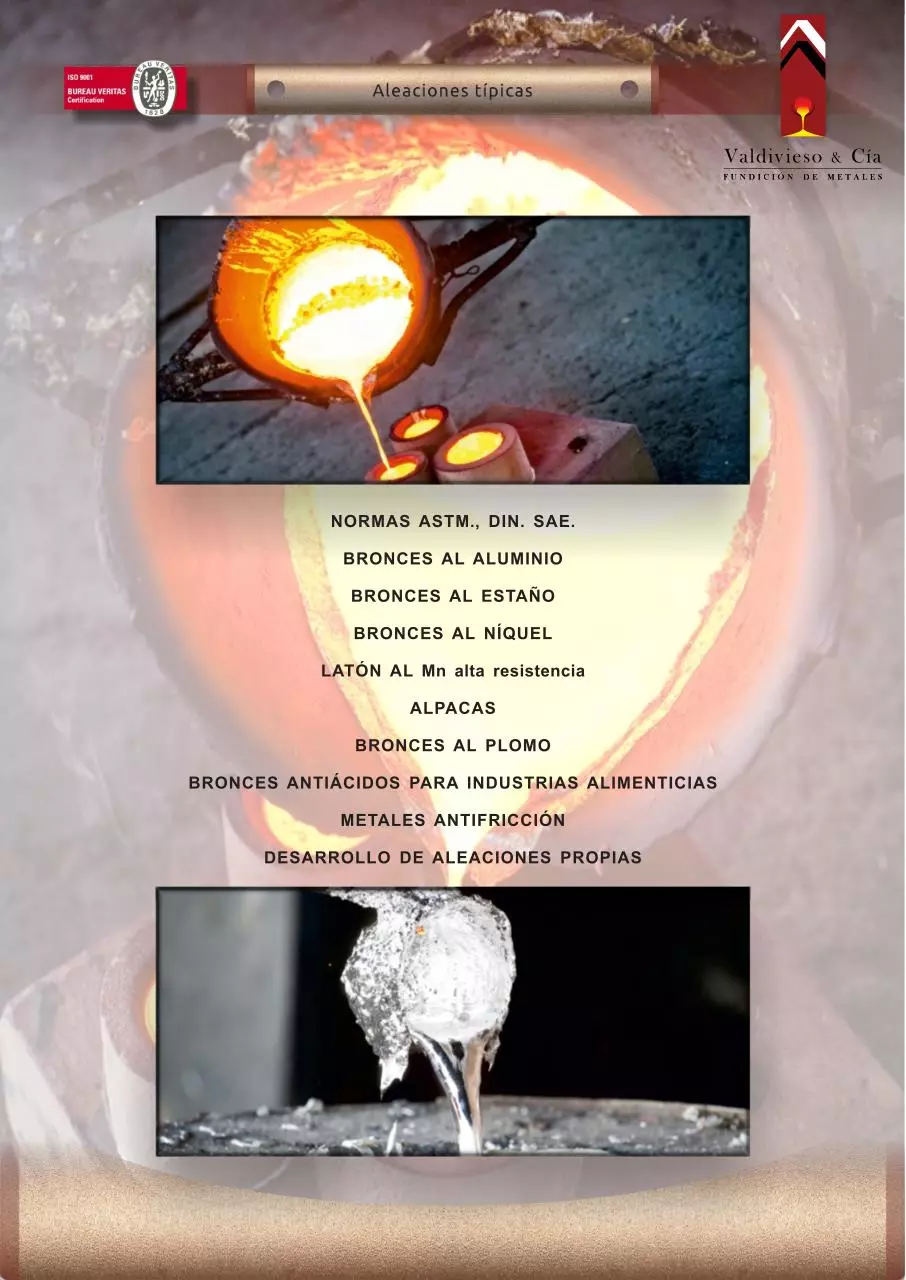 Page 5 of 8, Dossier Institucional Valdivieso 2015