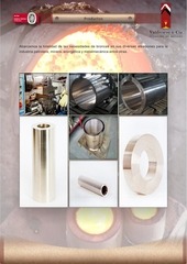 Page 4, Dossier Institucional Valdivieso 2015