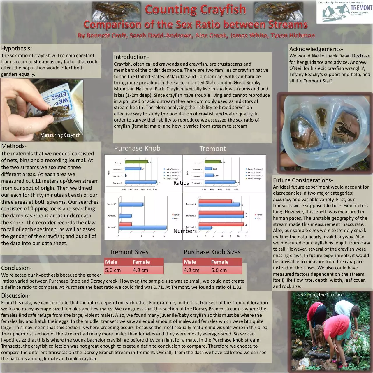 Document preview - crayfishpresentation.pdf - Page 1/1