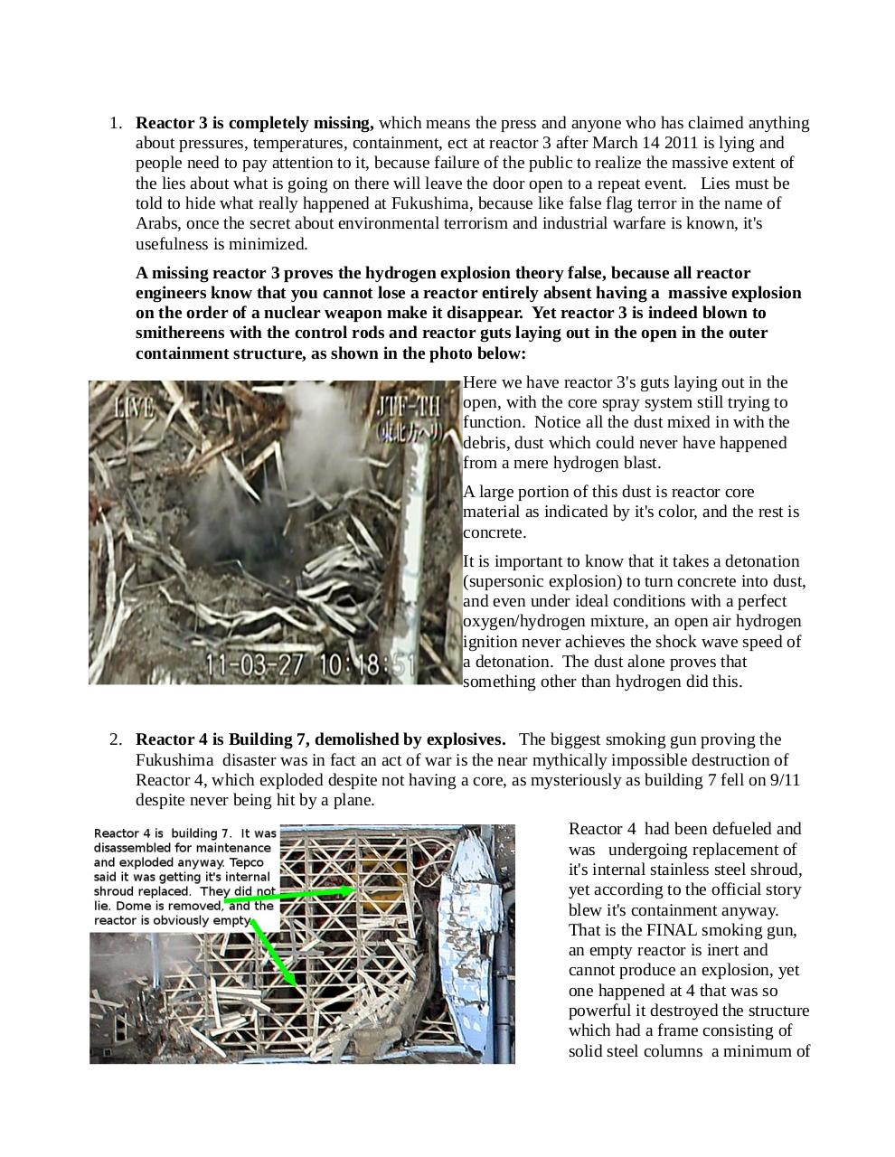 fukureport1b.pdf - page 2/48