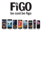 Page 1, Figo Roadmap