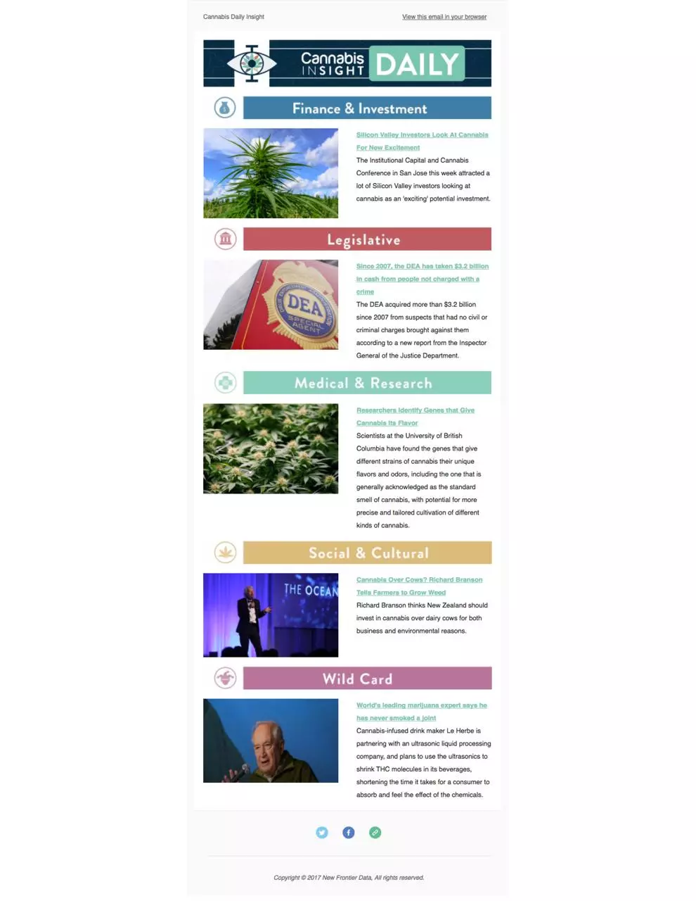 Page 1 of 1, Cannabis Insight Daily