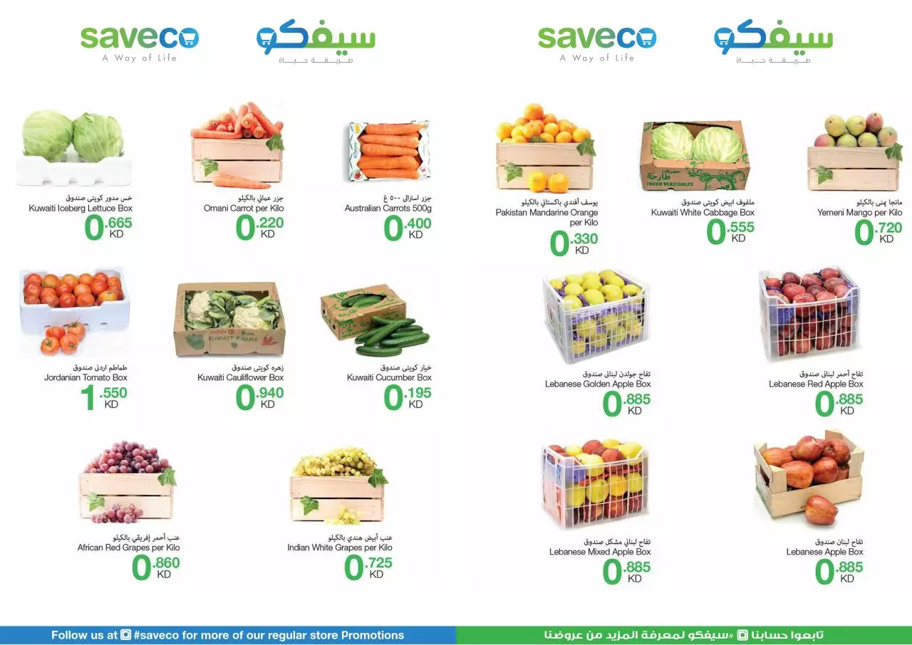 Page 4 of 9, Saveco Flyer WP