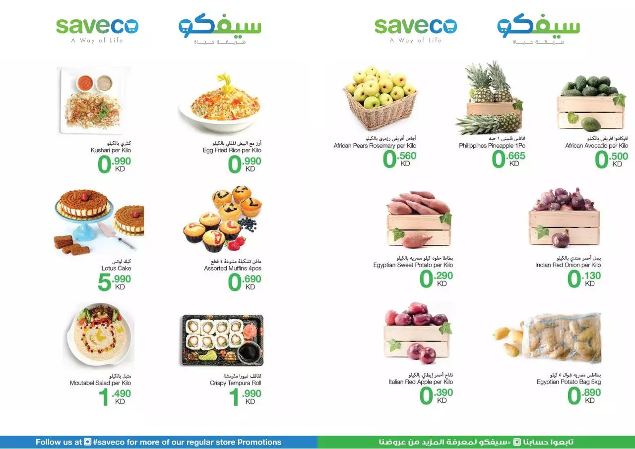 Page 5 of 9, Saveco Flyer WP