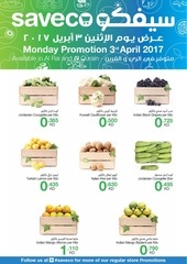 Page 1, Saveco Flyer WP