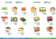 Page 4, Saveco Flyer WP