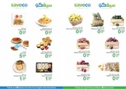 Page 5, Saveco Flyer WP