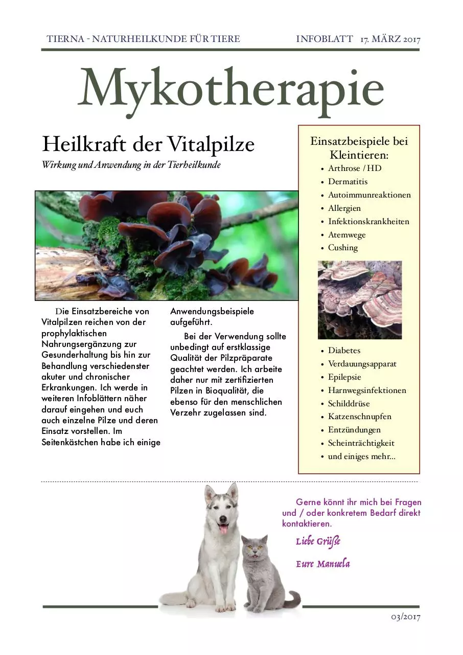 Page 1 of 1, Infoblatt Mykotherapie März 2017