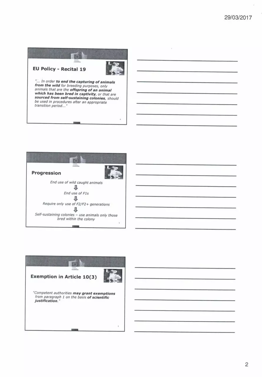 Page 2 of 22, Consultation meeting re art 10