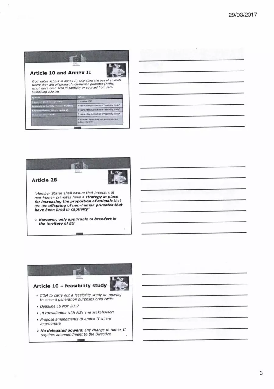 Page 3 of 22, Consultation meeting re art 10