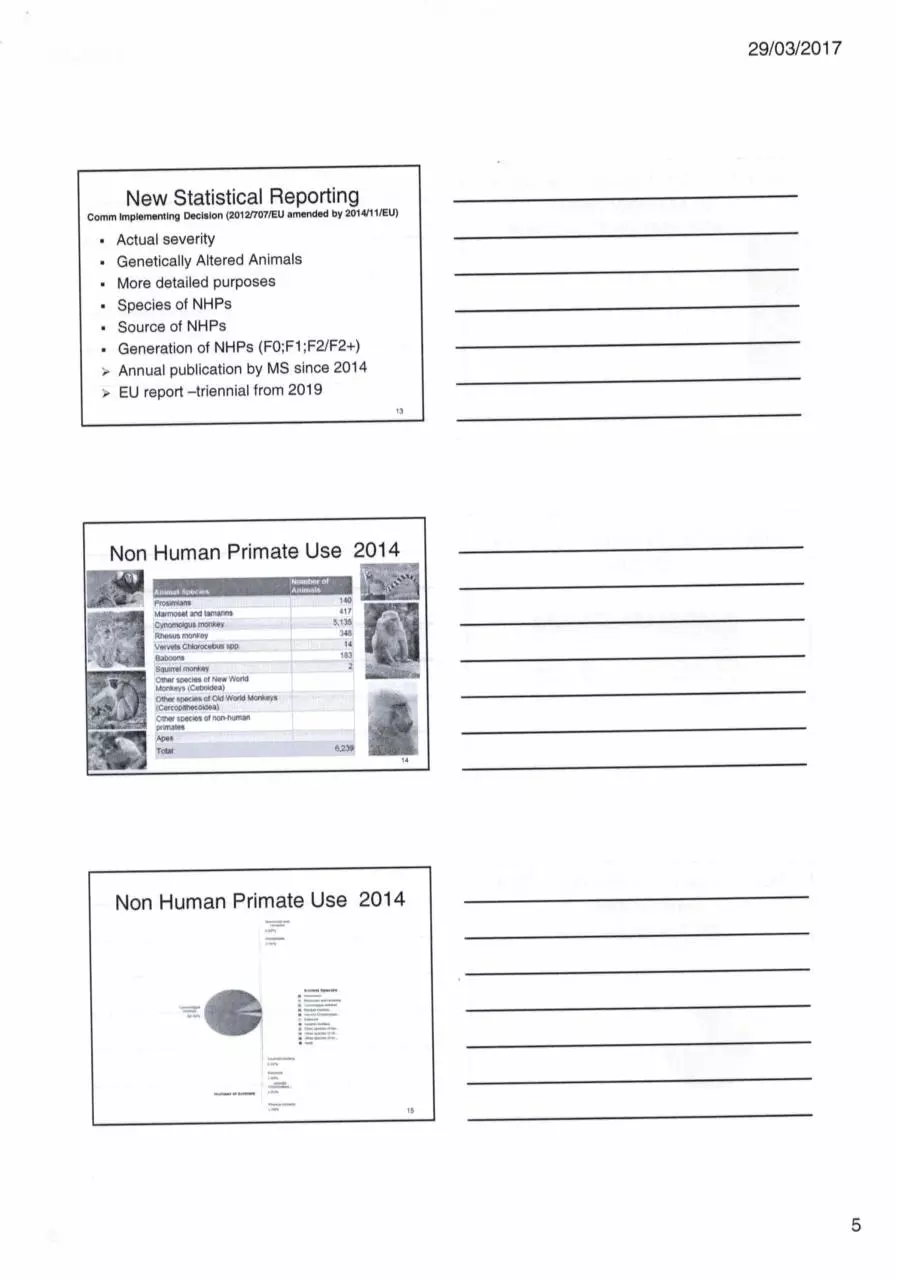Page 5 of 22, Consultation meeting re art 10