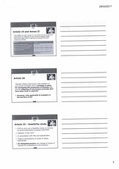 Page 3, Consultation meeting re art 10