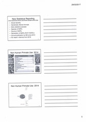 Page 5, Consultation meeting re art 10